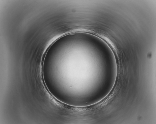 X0000096160910200801251124
