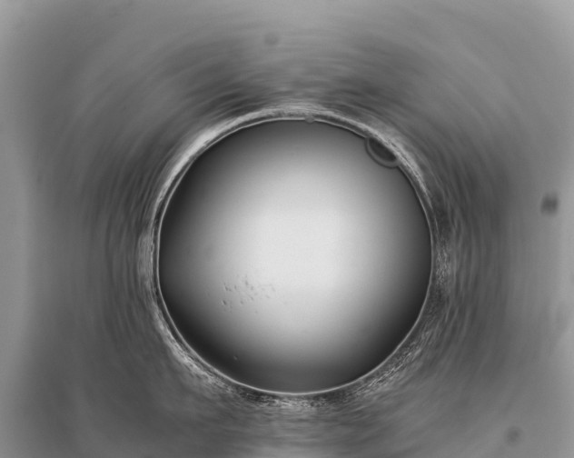 X0000096160911200801251124