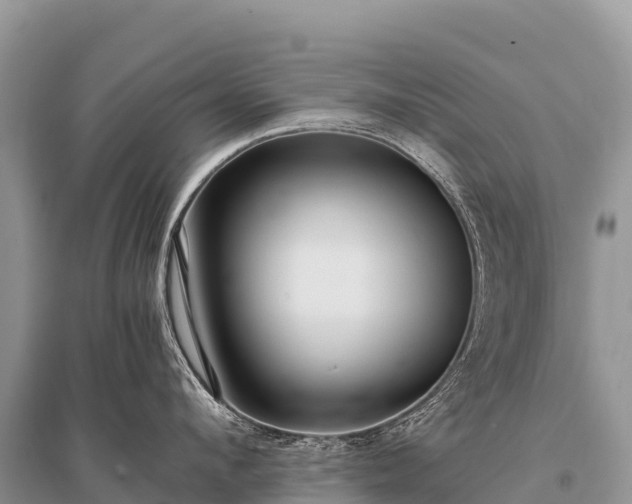 X0000096160912200801251124