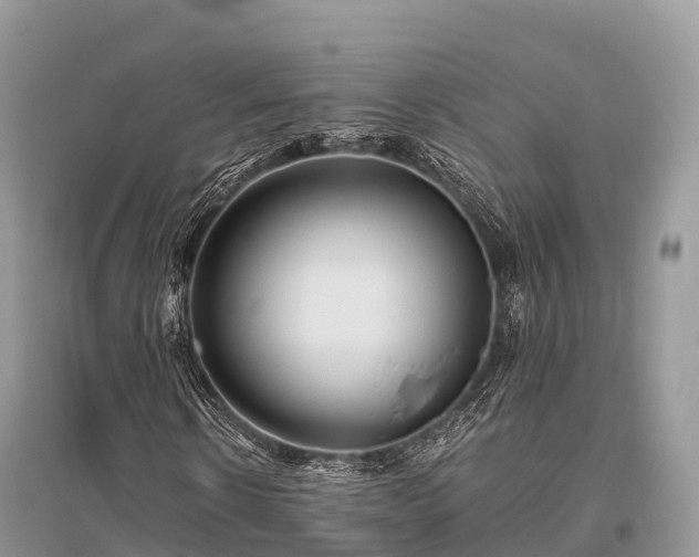 X0000096160914200801251124