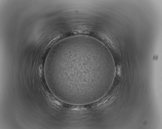 X0000096160915200801251124