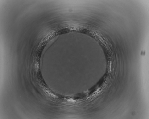 X0000096160916200801251124