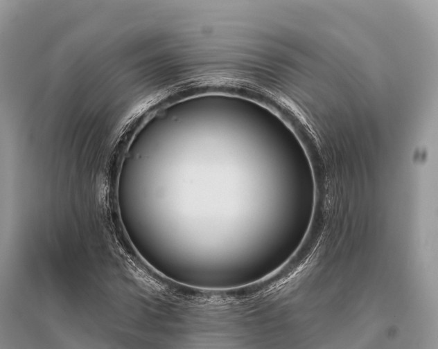 X0000096160922200801251124