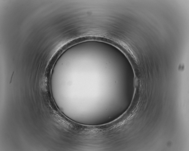X0000096160926200801251124