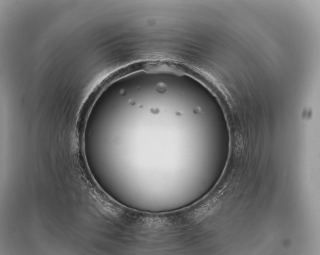 X0000096160927200801251124