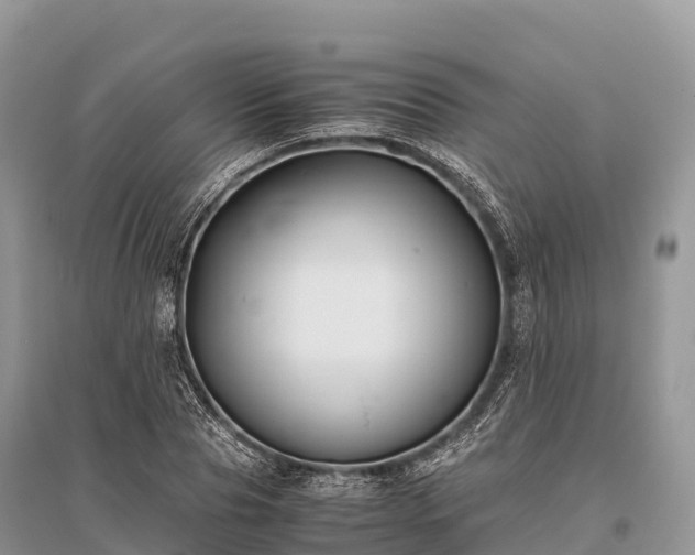 X0000096160929200801251124