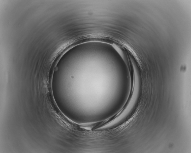X0000096160930200801251124