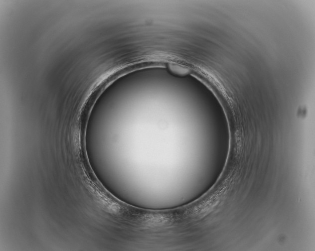 X0000096160931200801251124