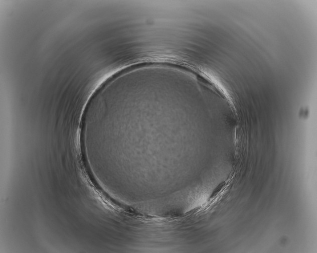 X0000096160932200801251124
