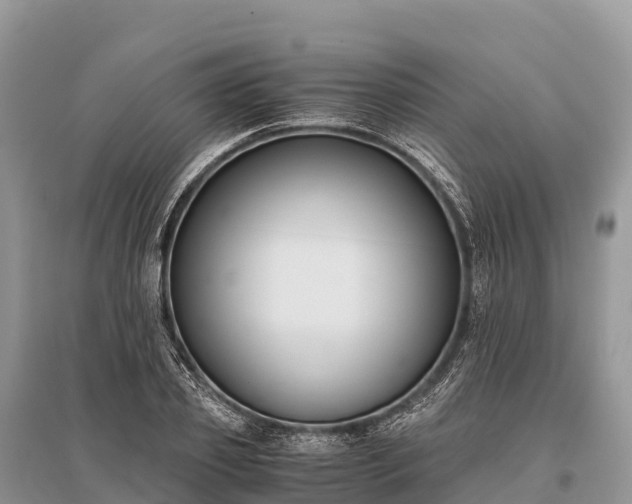 X0000096160933200801251124