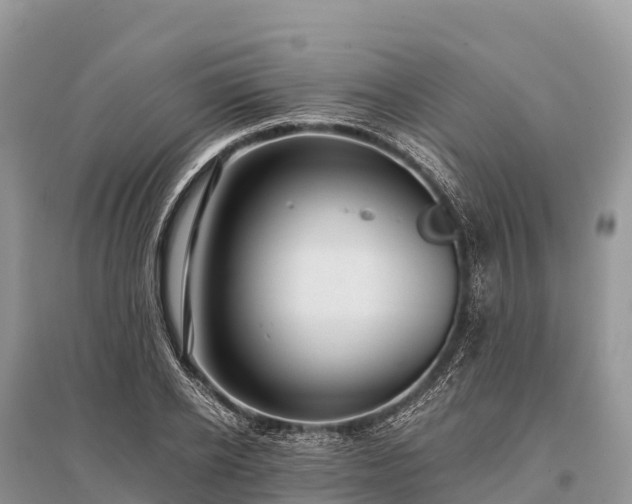 X0000096160934200801251124