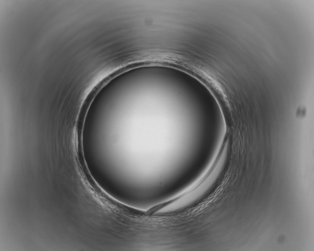 X0000096160936200801251124