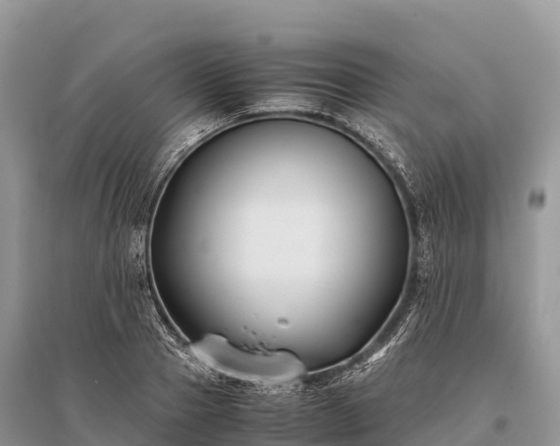 X0000096160937200801251124