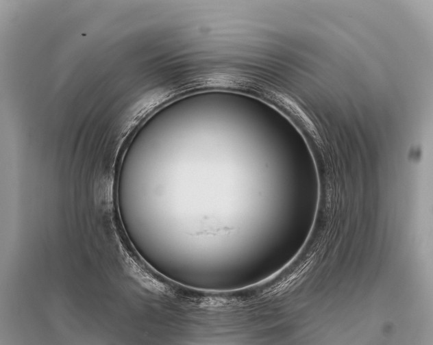 X0000096160938200801251124