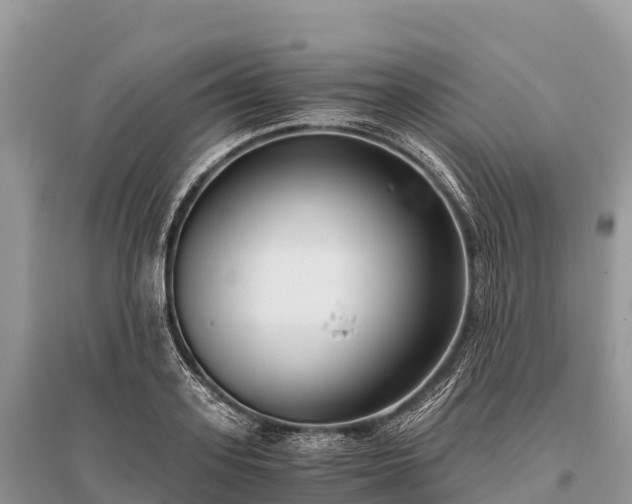 X0000096160939200801251124