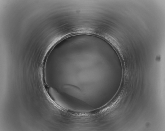 X0000096160941200801251124