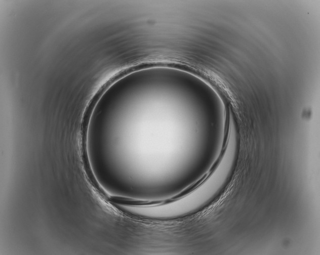 X0000096160942200801251124