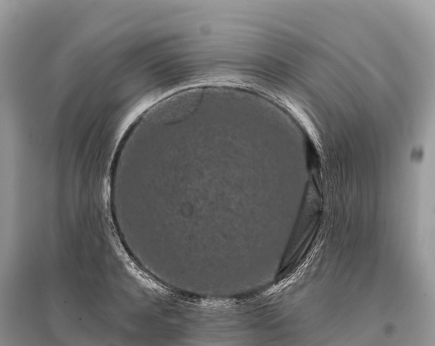 X0000096160944200801251124