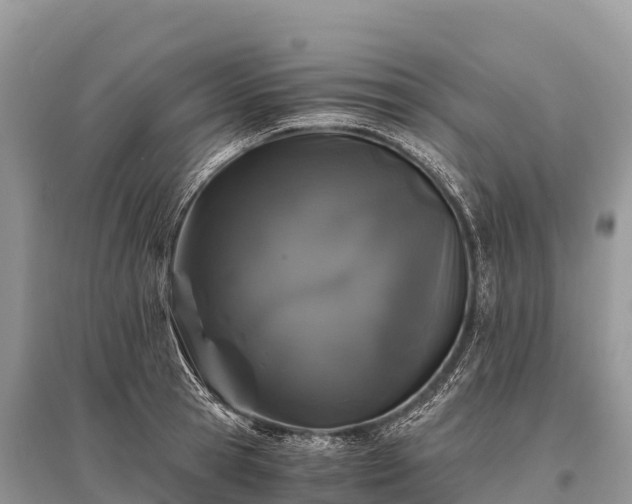X0000096160945200801251124