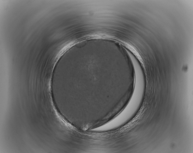 X0000096160946200801251124