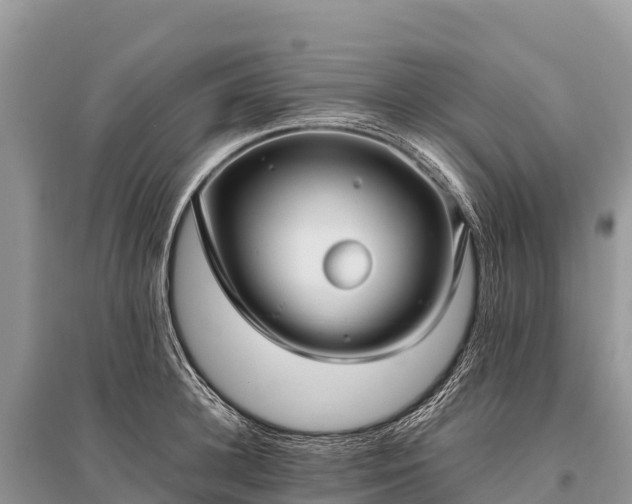 X0000096160948200801251124