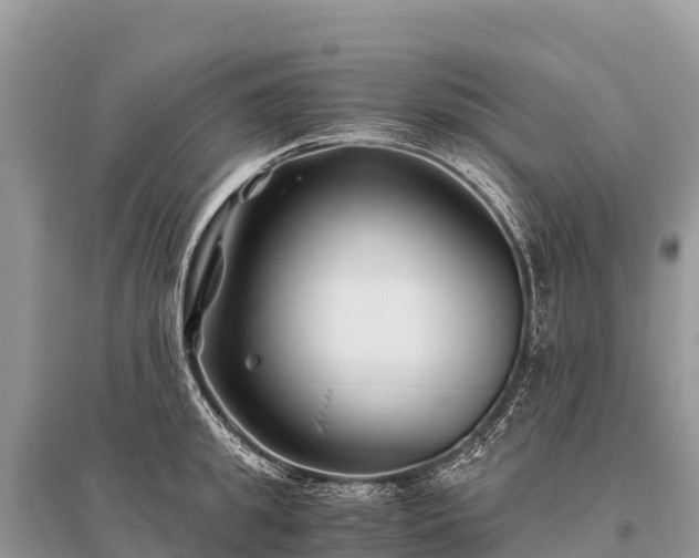 X0000096160949200801251124