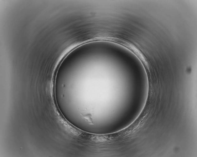 X0000096160955200801251124
