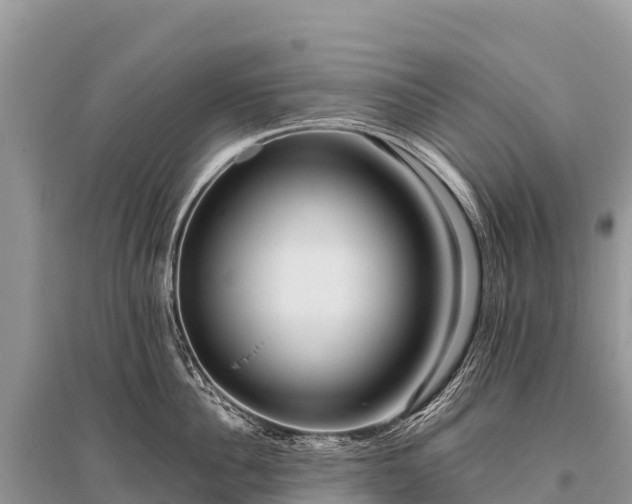 X0000096160956200801251124