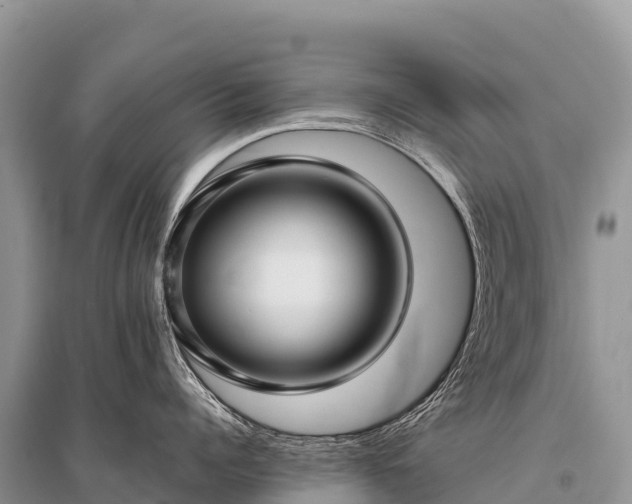 X0000096160960200801251124