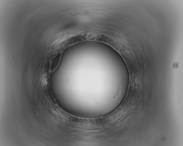 X0000096160962200801251124