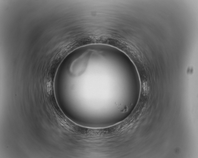 X0000096160963200801251124