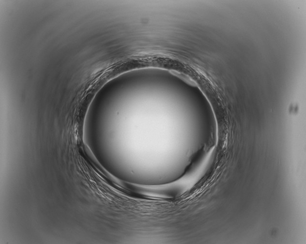X0000096160965200801251124
