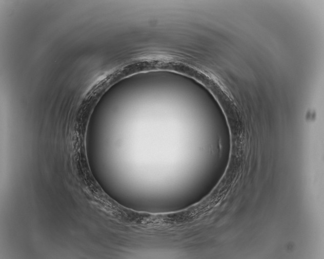 X0000096160967200801251124