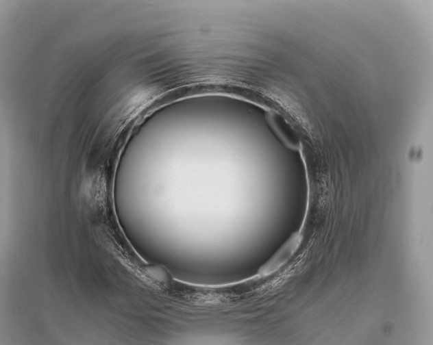 X0000096160969200801251124