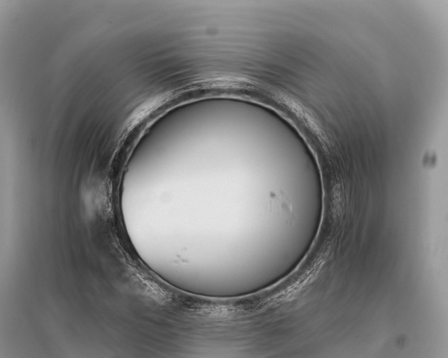 X0000096160970200801251124