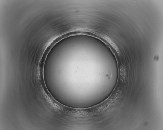 X0000096160972200801251124