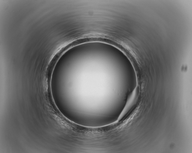 X0000096160973200801251124