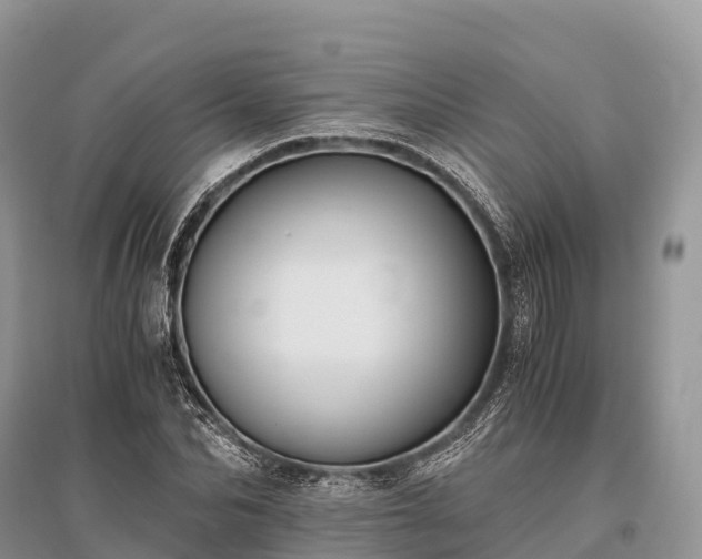 X0000096160974200801251123
