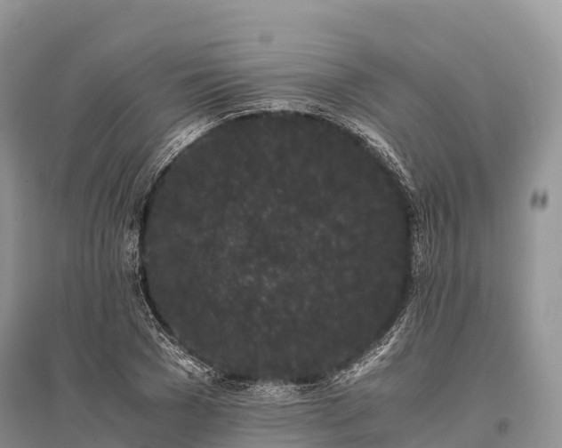 X0000096160977200801251123
