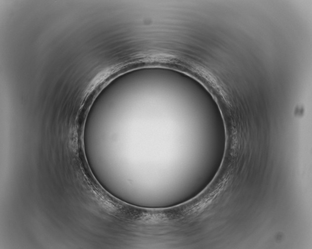 X0000096160978200801251123
