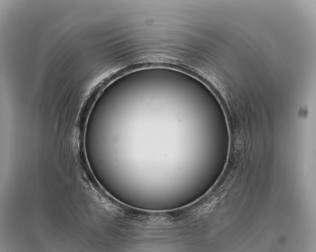 X0000096160979200801251123