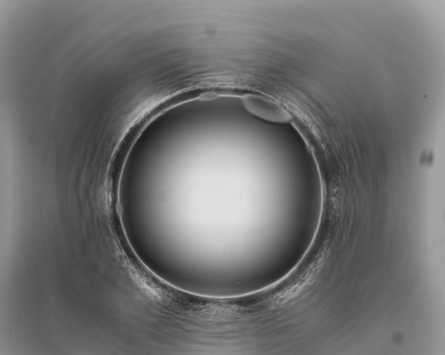X0000096160981200801251123