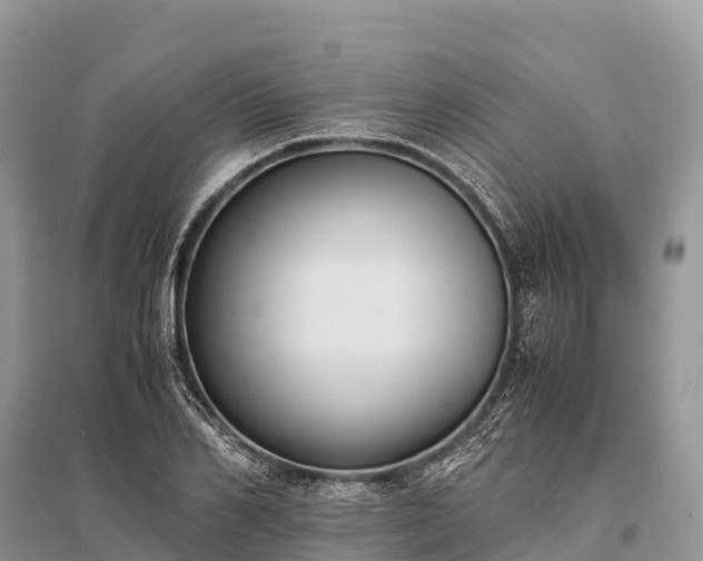 X0000096160982200801251123