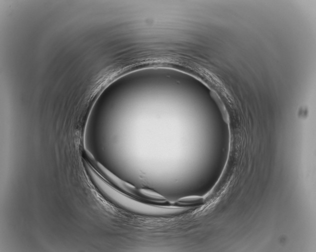 X0000096160985200801251123