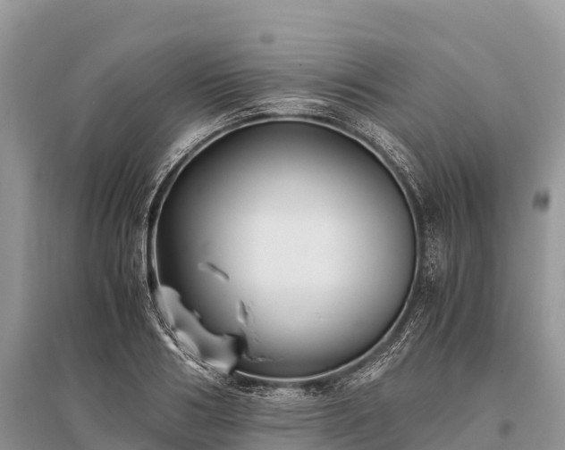 X0000096160986200801251123
