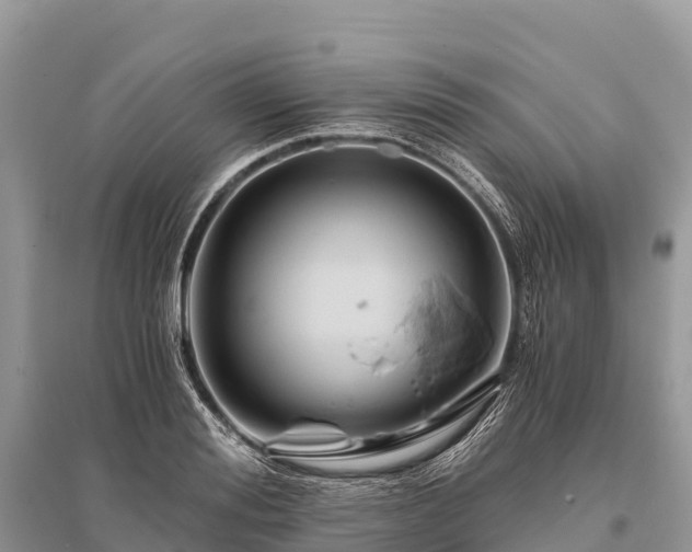 X0000096160988200801251123