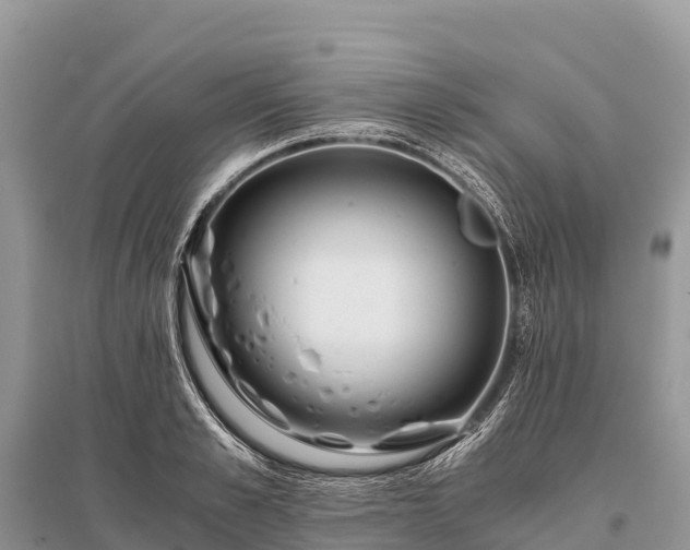 X0000096160989200801251123