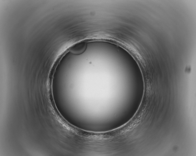 X0000096160990200801251123