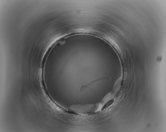 X0000096160992200801251123