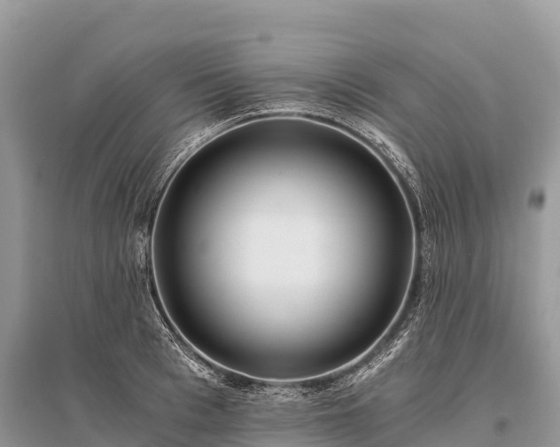 X0000096160993200801251123
